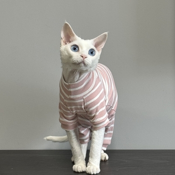 Îmbrăcăminte pentru pisici cu patru picioare — bumbac, stil Angliei, Panda brand