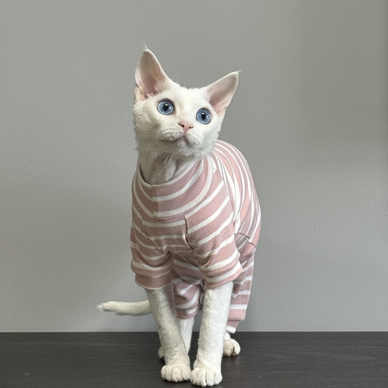 Îmbrăcăminte pentru pisici cu patru picioare — bumbac, stil Angliei, Panda brand