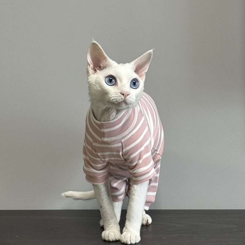 Îmbrăcăminte pentru pisici cu patru picioare — bumbac, stil Angliei, Panda brand