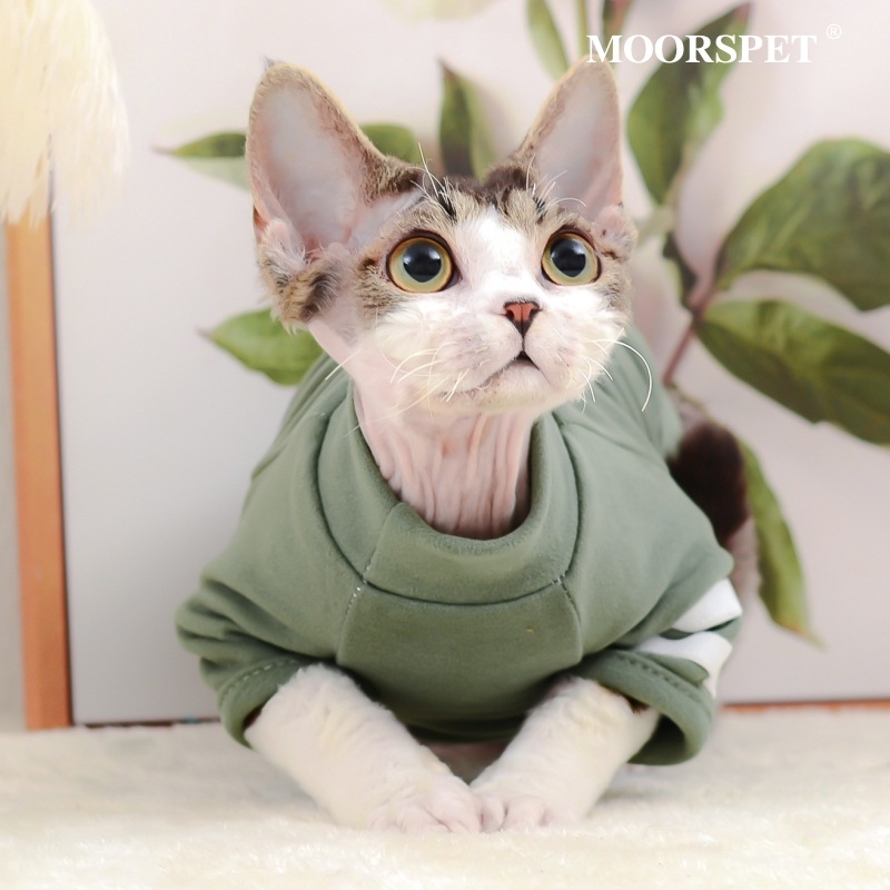 MOORSPET haine pentru animale cu două picioare, stil Japonia și Coreea, material pânză