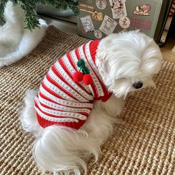 Pamukasti pulover za kućne ljubimce – Nova godina, za male pse i mačke: Teddy, Bichon Frisé, Yorkshire Terrier, jesen-zimsko izdanje
