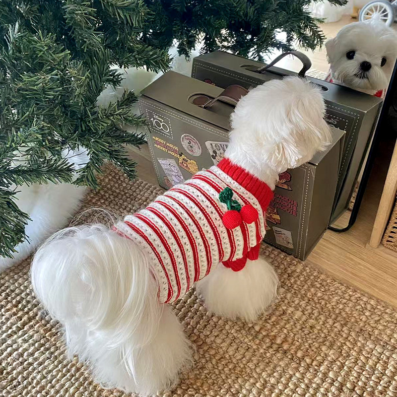 Pamukasti pulover za kućne ljubimce – Nova godina, za male pse i mačke: Teddy, Bichon Frisé, Yorkshire Terrier, jesen-zimsko izdanje