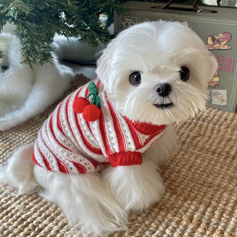 Pamukasti pulover za kućne ljubimce – Nova godina, za male pse i mačke: Teddy, Bichon Frisé, Yorkshire Terrier, jesen-zimsko izdanje
