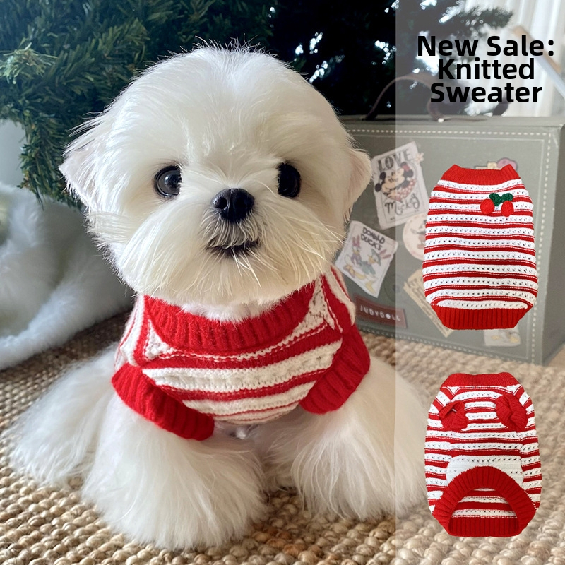 Pamukasti pulover za kućne ljubimce – Nova godina, za male pse i mačke: Teddy, Bichon Frisé, Yorkshire Terrier, jesen-zimsko izdanje