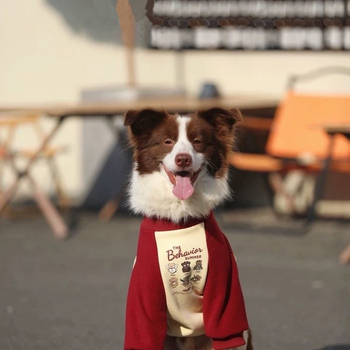 Crveni hoodie s fleeceom za velike pse – jesen/zima, za Golden Retriever, Border Collie, Labrador i German Shepherd