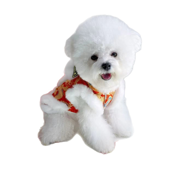 Zimska odjeća kućnih ljubimaca u kineskom stilu Tang za male pse i mačke, Teddy i Bichon