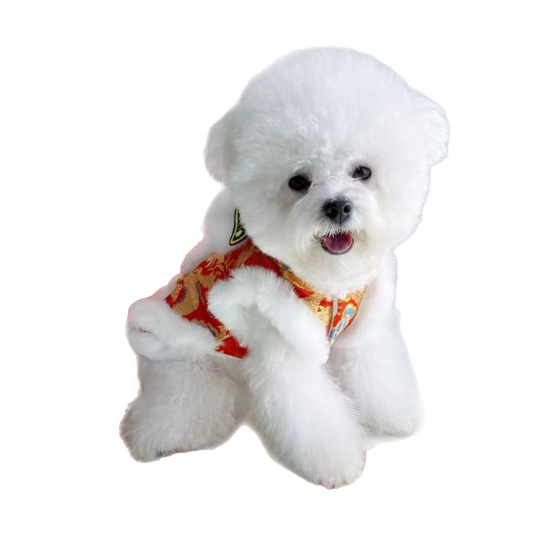 Zimska odjeća kućnih ljubimaca u kineskom stilu Tang za male pse i mačke, Teddy i Bichon
