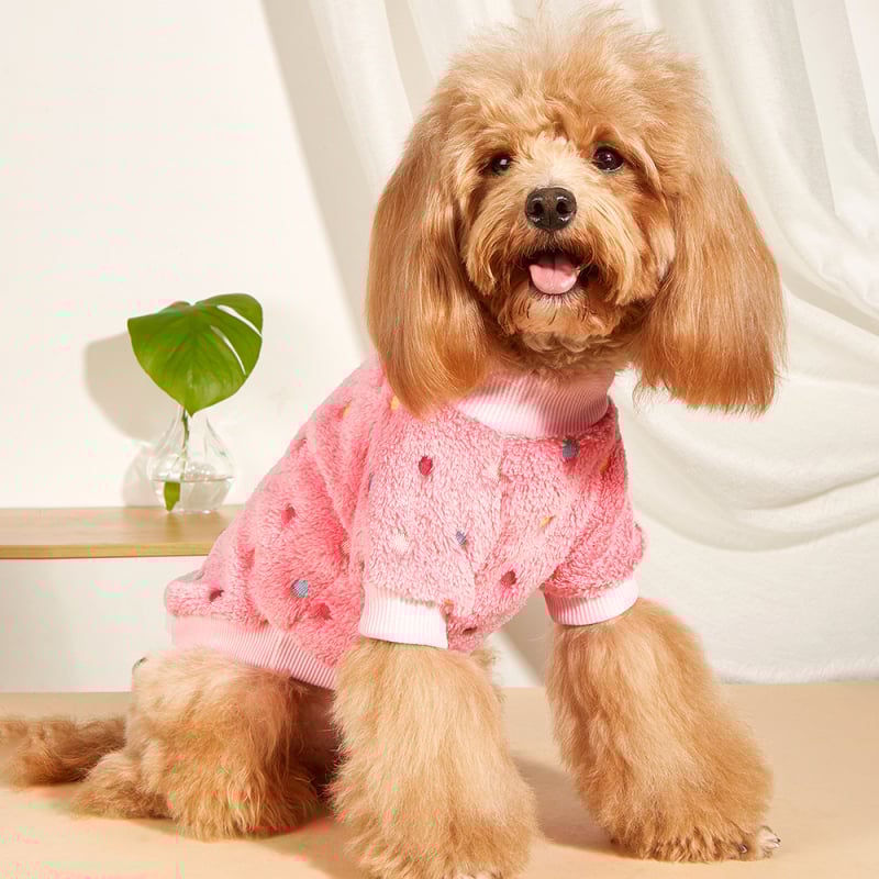 Džemper za kućne ljubimce — poliester, INS stil, brend eoo