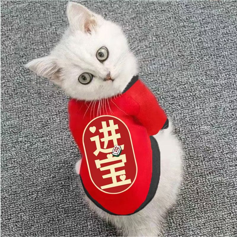 Îmbrăcăminte casual pentru câini și pisici, țesătură mesh, pentru primăvară, toamnă și iarnă, potrivită pentru câini și pisici de talie mică