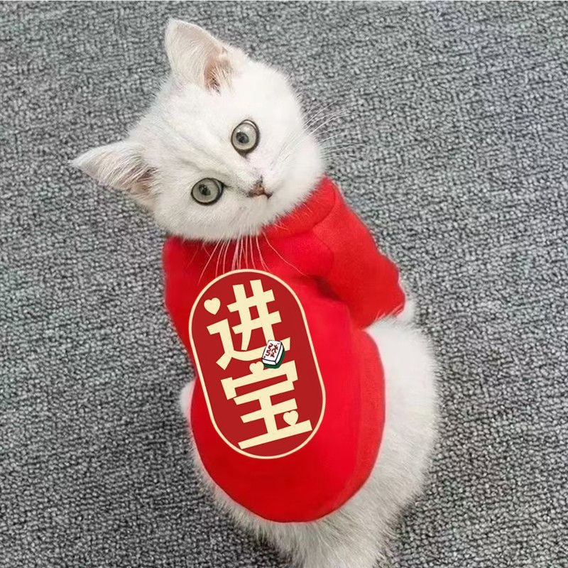 Îmbrăcăminte casual pentru câini și pisici, țesătură mesh, pentru primăvară, toamnă și iarnă, potrivită pentru câini și pisici de talie mică