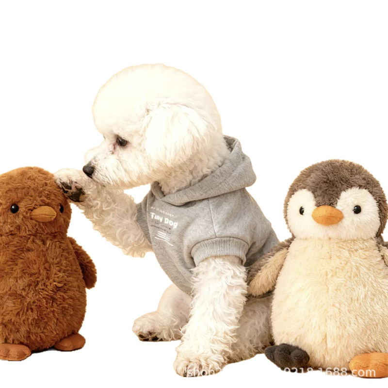 Psi duk s kapuljom za sve sezone, casual stil, Tony dog