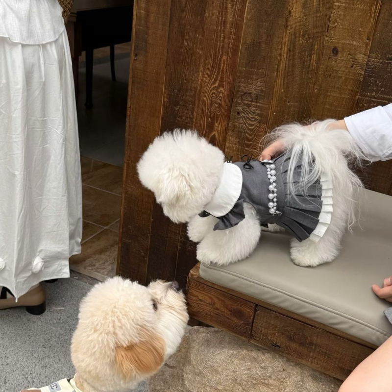 Strange Pet: JK plisirana suknja za kućne ljubimce, korejski stil, stil princeze, poliester
