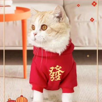 Îmbrăcăminte pentru animale de companie: fular pentru pisici și câini, material plasă, stil casual, export transfrontalier