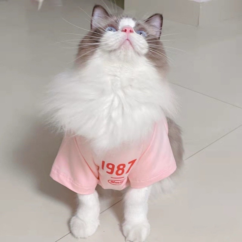 Vesta pentru animale de companie - Shake Velvet material, stil minimalist modern, Cod produs Fd5350095596588