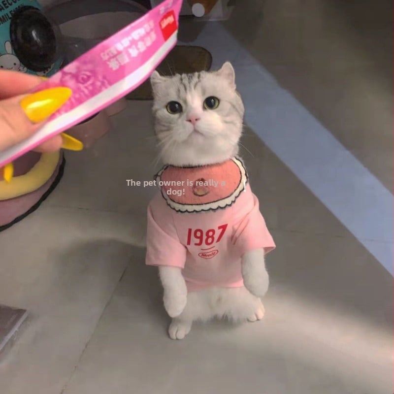 Vesta pentru animale de companie - Shake Velvet material, stil minimalist modern, Cod produs Fd5350095596588