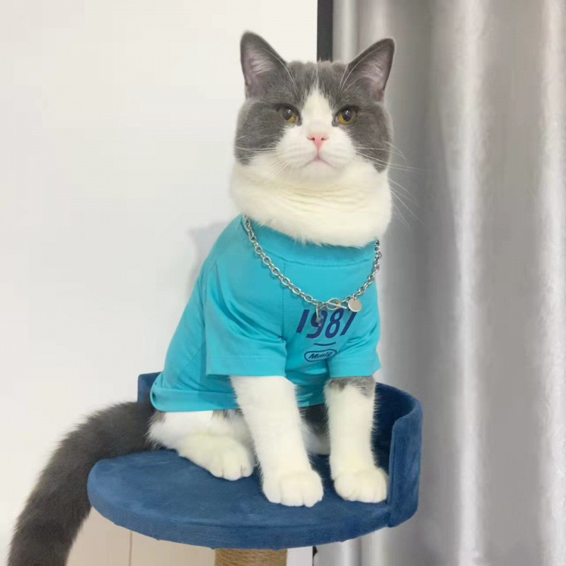 Vesta pentru animale de companie - Shake Velvet material, stil minimalist modern, Cod produs Fd5350095596588