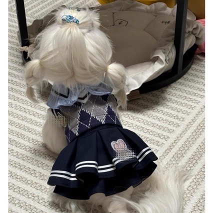 Pidžama za pse – koralni velur, moderan minimalistički stil, sve sezone