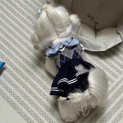 Pidžama za pse – koralni velur, moderan minimalistički stil, sve sezone