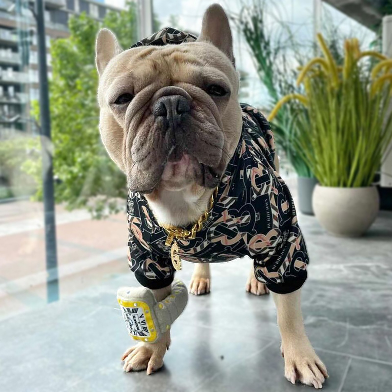 Hoodie za pse s natpisom, akrilni materijal, ležerni stil, Small One brend