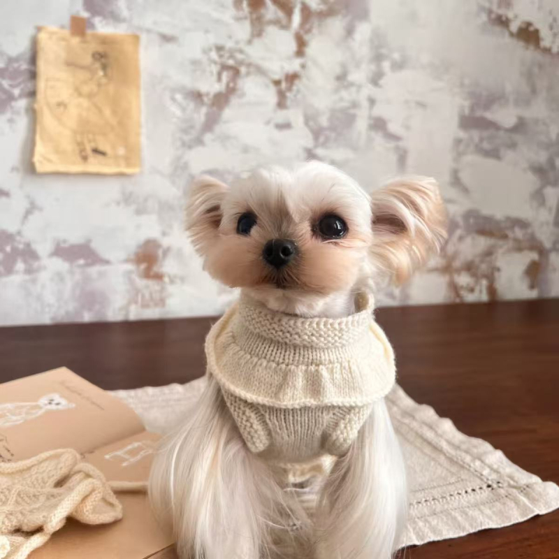 Odeća za kućne ljubimce, jesensko-zimska sezona, poliester-pamuk tkanina, pulover stil, univerzalni kroj