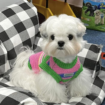 Pleteni pulover za kućne ljubimce, za pse i mačke, akrilno vlakno, odjeća za kućne ljubimce, univerzalno