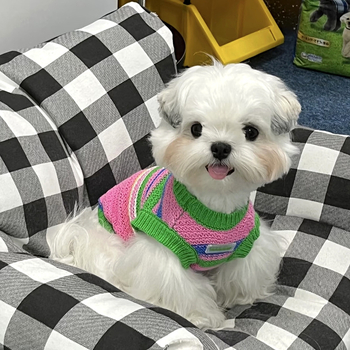 Pleteni pulover za kućne ljubimce, za pse i mačke, akrilno vlakno, odjeća za kućne ljubimce, univerzalno