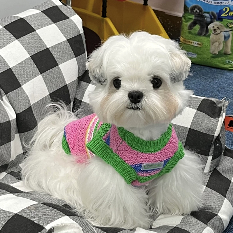 Pleteni pulover za kućne ljubimce, za pse i mačke, akrilno vlakno, odjeća za kućne ljubimce, univerzalno