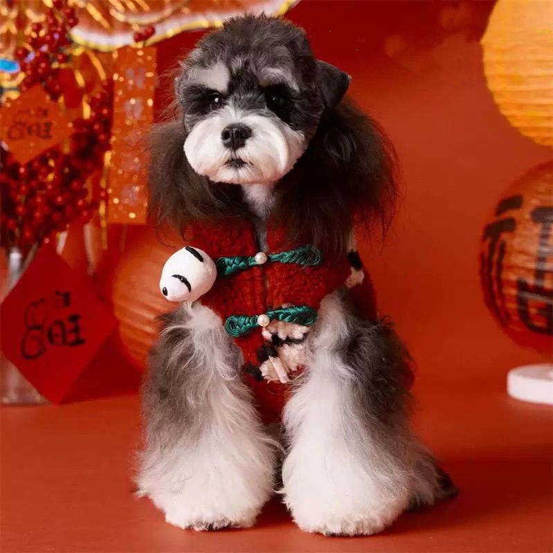 Novogodišnje odijelo za male pse i mačke: Schnauzer, Toy pudla, Bišon, Pomeranac, bezrukava jakna s panda uzorkom.