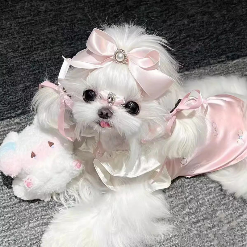 Odjeća za kućne ljubimce – lagani luksuz, prozračna, lagana, s dijamantnim ukrasima; Materijal: platno; Podrijetlo: Jiangsu; Marka: Jiamei Chong; Kategorija: Odjeća za kućne ljubimce; Stil: Slobodno vrijeme