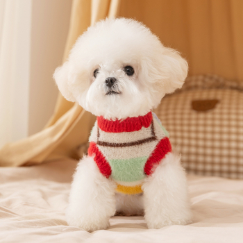Šarena karikatura psa džemper s zvjezdicama i prugama za male pasmine – Bichon Frisé, Toy Poodle (jesen-zima)