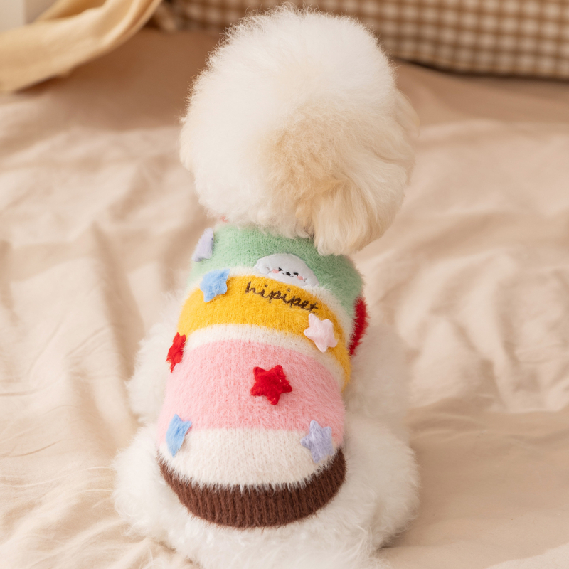 Šarena karikatura psa džemper s zvjezdicama i prugama za male pasmine – Bichon Frisé, Toy Poodle (jesen-zima)