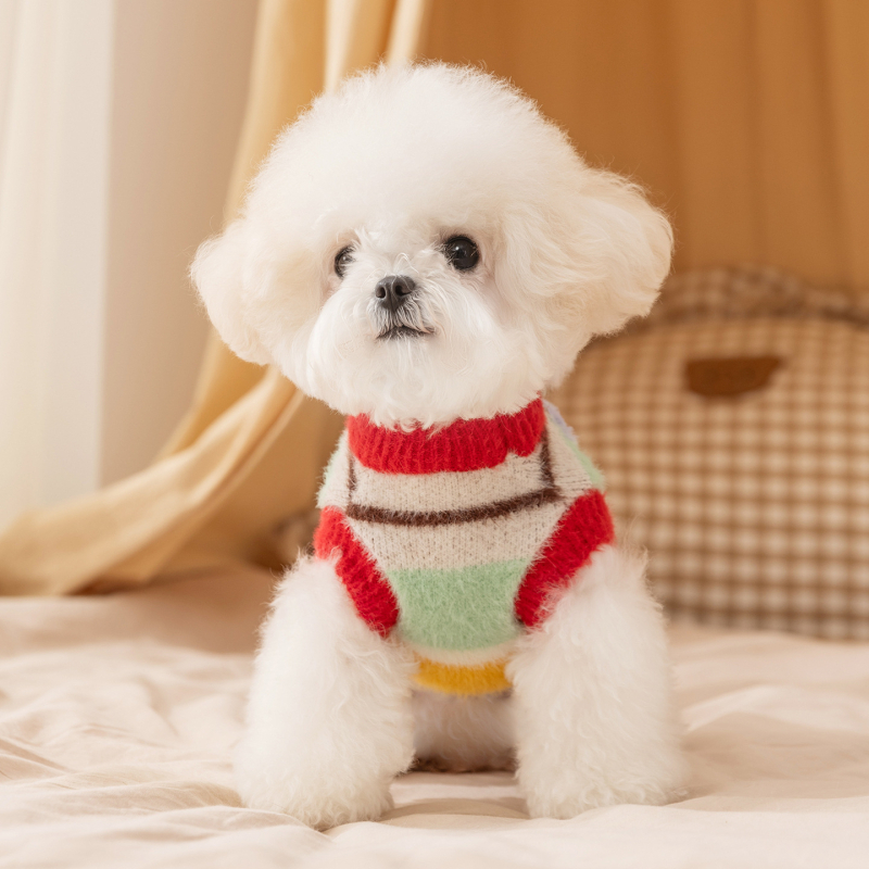 Šarena karikatura psa džemper s zvjezdicama i prugama za male pasmine – Bichon Frisé, Toy Poodle (jesen-zima)