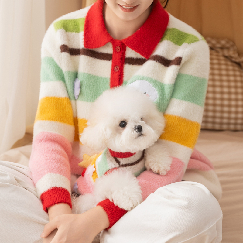 Šarena karikatura psa džemper s zvjezdicama i prugama za male pasmine – Bichon Frisé, Toy Poodle (jesen-zima)