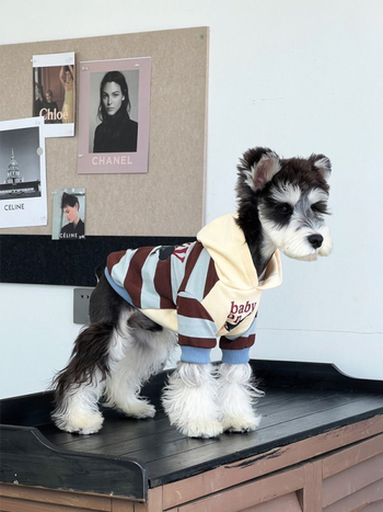 Odjeća za pse za jesen/zimu, topla debela tkanina s prugastim patchwork dizajnom; materijal: sweatshirt tkanina; univerzalno za sve pasmine