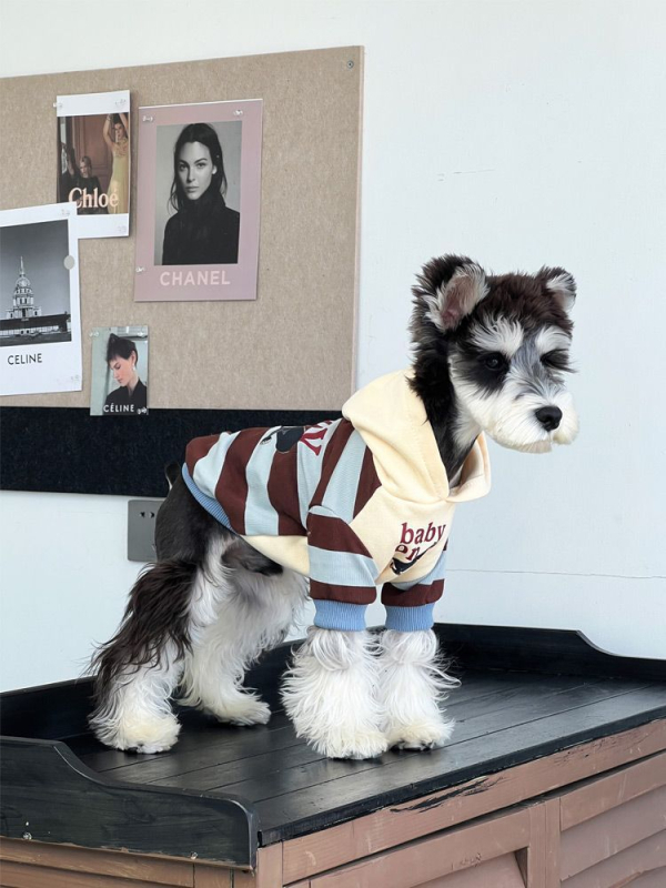 Odjeća za pse za jesen/zimu, topla debela tkanina s prugastim patchwork dizajnom; materijal: sweatshirt tkanina; univerzalno za sve pasmine