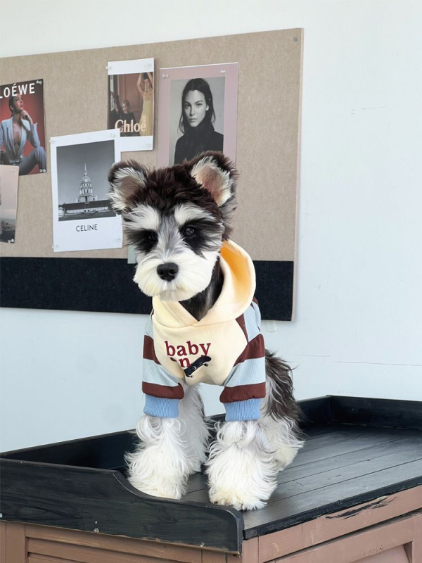 Odjeća za pse za jesen/zimu, topla debela tkanina s prugastim patchwork dizajnom; materijal: sweatshirt tkanina; univerzalno za sve pasmine