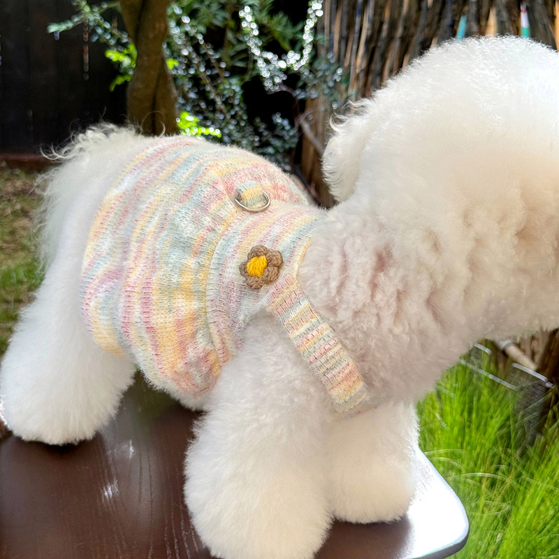 Haljina za kućne ljubimce za male pse i mačke — Teddy, Bichon, Pomeranian, Poodle — sladak princes stil.