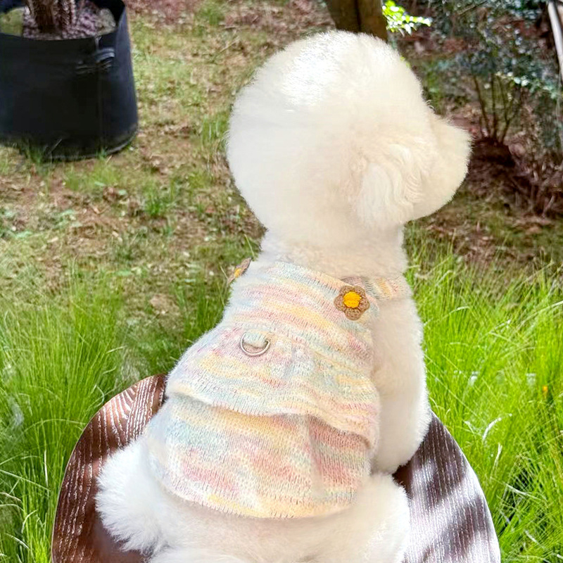 Haljina za kućne ljubimce za male pse i mačke — Teddy, Bichon, Pomeranian, Poodle — sladak princes stil.
