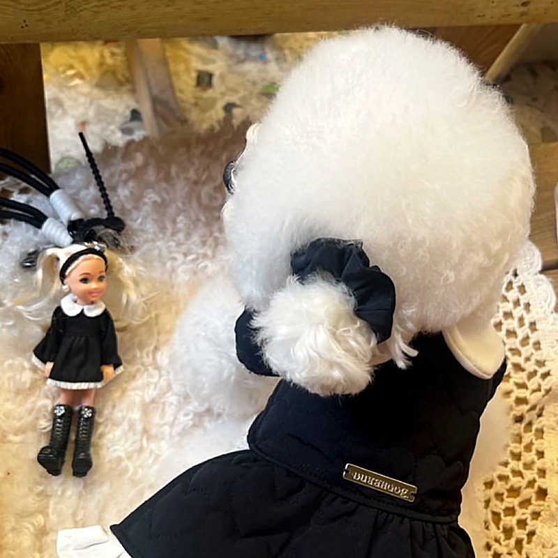 Odjeća za kućne ljubimce za male pse i mačke, pogodna za uzicu, Teddy, Bichon Frisé, Pomeranian, Schnauzer – jesen zima.