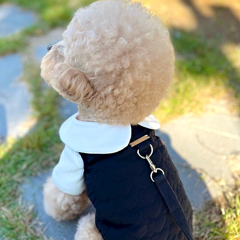 Odjeća za kućne ljubimce za male pse i mačke, pogodna za uzicu, Teddy, Bichon Frisé, Pomeranian, Schnauzer – jesen zima.