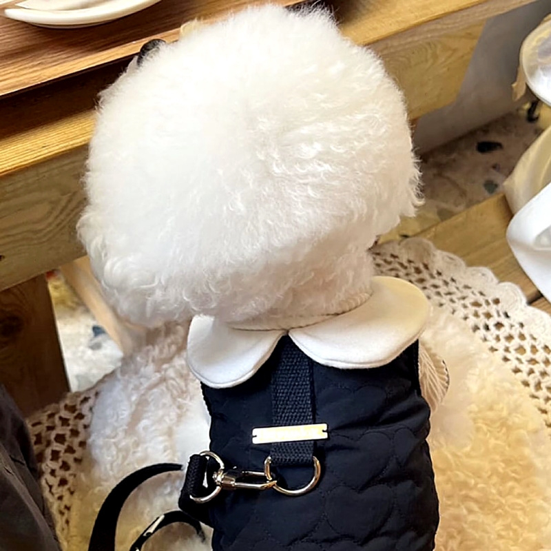 Odjeća za kućne ljubimce za male pse i mačke, pogodna za uzicu, Teddy, Bichon Frisé, Pomeranian, Schnauzer – jesen zima.