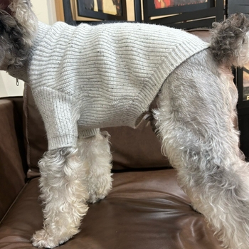 Pulover za kućne ljubimce s stojećim ovratnikom i zatvaračem – debeli topli džemper u polo stilu za Bichon Frise, Mini šnaucer i mačke