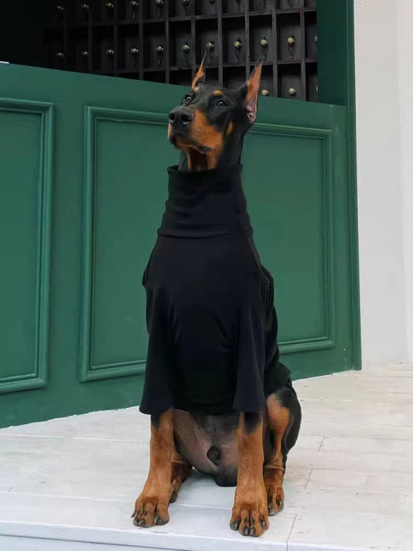 Casual odjeća za pse — poliester, za zimu, proljeće i jesen, brenda Strange pet
