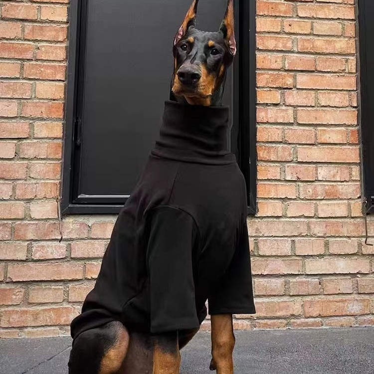 Casual odjeća za pse — poliester, za zimu, proljeće i jesen, brenda Strange pet