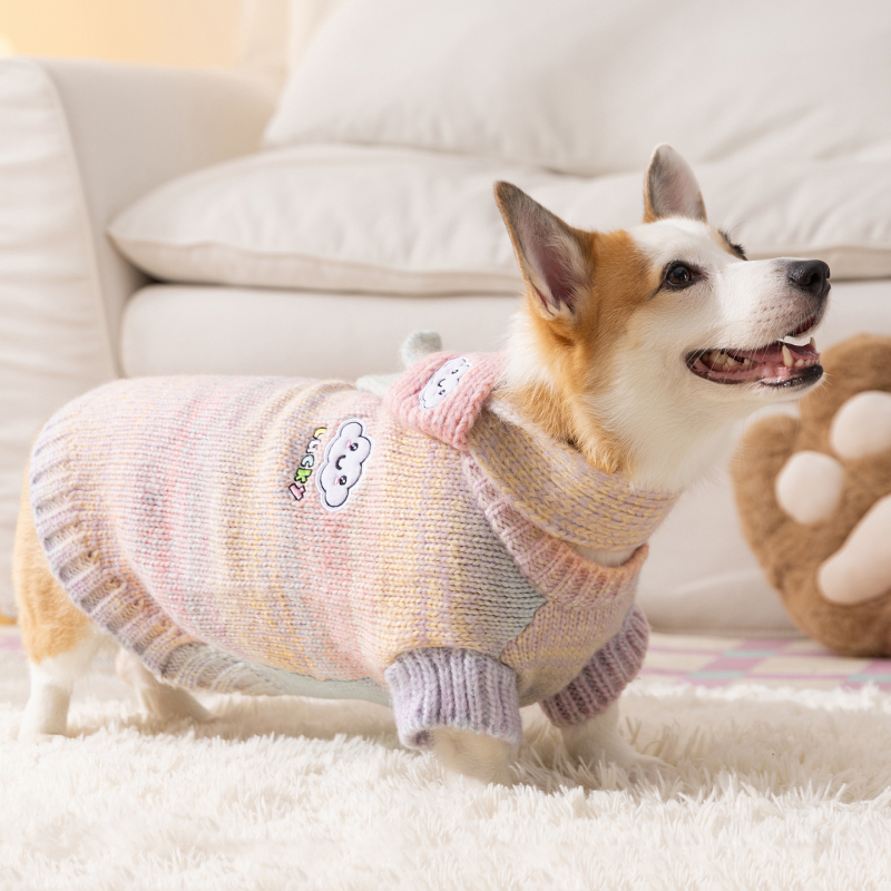 Sour Bear akrilni pulover za pse – casual unisex odjeća za pse, model 2510SXMJ0634-SX, za Corgi i Francuskog buldoga