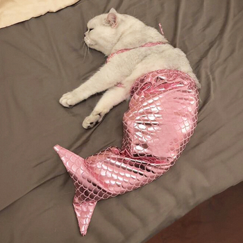 Kostim za transformaciju mačke s repom sirene - poliester, stil princeze, unisex
