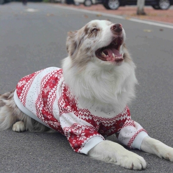 Odjeća za velike pse, jesensko-zimska topla jakna, universalni kroj, materijal: sweatshirt tkanina