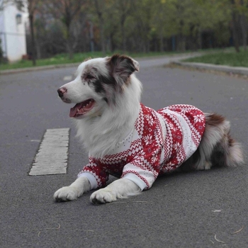 Odjeća za velike pse, jesensko-zimska topla jakna, universalni kroj, materijal: sweatshirt tkanina