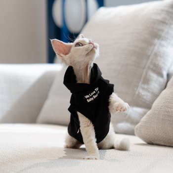 Kapuljačasta vest s plišanim podšitkom za bezdlaku mačku (Sphynx, Devon Rex)