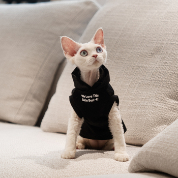 Kapuljačasta vest s plišanim podšitkom za bezdlaku mačku (Sphynx, Devon Rex)